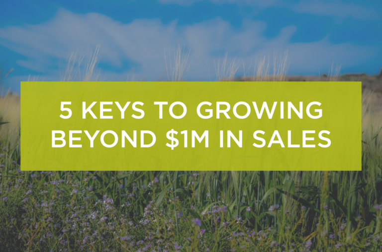 5 Keys to Growing Beyond $1M in Sales